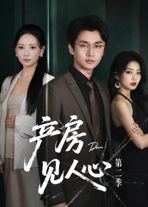 产房见人心第二季（75集）短剧小说在线看