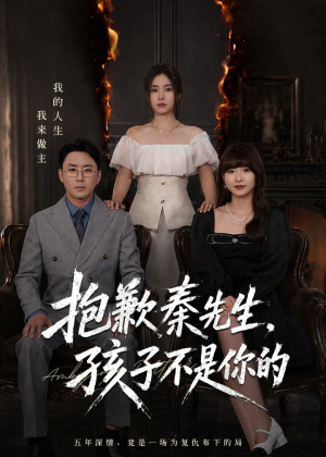 抱歉秦先生，孩子不是你的（53集）短剧终极大结局合集