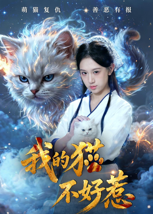 我的猫不好惹（42集）短剧大剧场短剧推荐