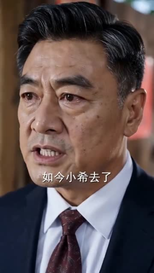 风归故里深情已逝（72集）最新短剧抢先看