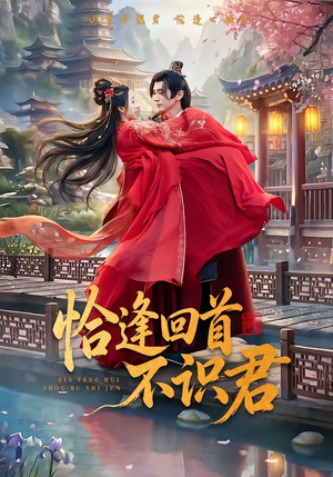 恰逢回首不识君（72集）短剧在哪个平台看好