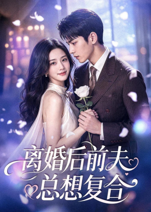 离婚后前夫总想复合（72集）我全都看完了的经典短剧回顾