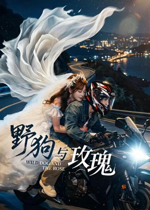 野狗与玫瑰（30集）最新精彩短剧抢先看