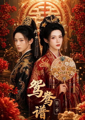 鸳鸯谱第二季（64集）经典老剧短剧免费看