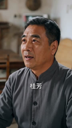 女当家的较量（92集）热播短剧全集看