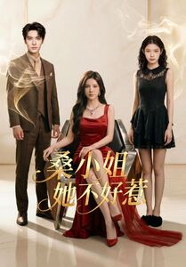 桑小姐她不好惹（103集）深夜短剧推荐精彩片段