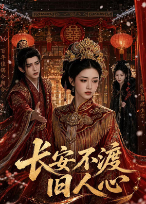长安不渡旧人心（64集）在线观看全集高清短剧