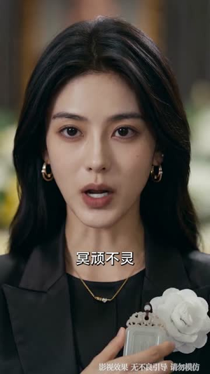 父亲葬礼当天,我在高铁叫停弟弟婚事(59集) 父亲葬礼当天,我在高铁叫停弟弟婚事(59集)短剧全剧终高清放送