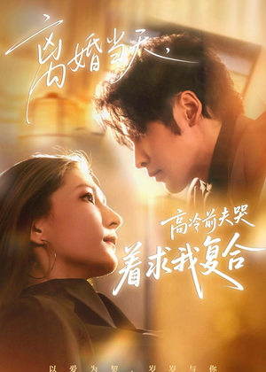 离婚当天，高冷前夫哭着求我复合（77集）热播短剧抢先看全集