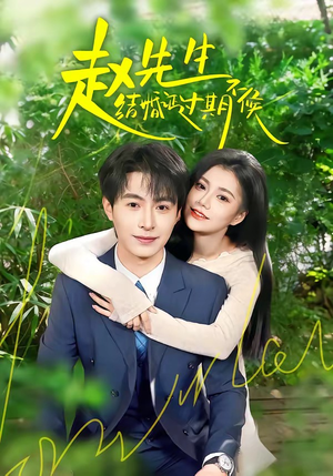 赵先生结婚证过期不候（50集）热门短剧新剧推荐