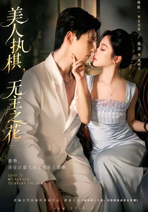 美人执棋，无主之花（65集）全网独播短剧免费观影