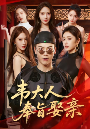 韦大人奉旨娶亲（81集）免费看短剧大结局