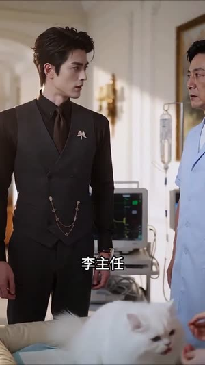 夫人她能听懂喵喵语（60集）千万短剧流量抢先看