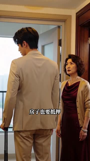 静静无声的过往（29集）热播短剧持续更新中