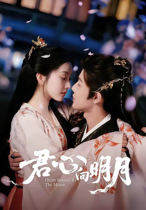 君心向明月（60集）免费观看热门短剧