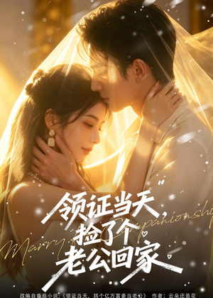 领证当天,捡了个老公回家(80集) 领证当天,捡了个老公回家(80集)免费观看短剧就是爽