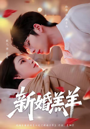 新婚羔羊（89集）新番短剧计划好剧分享