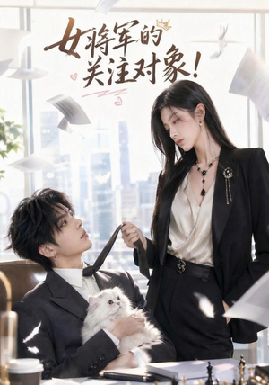 女将军的关注对象(61集) 女将军的关注对象(61集)短剧全集完整版