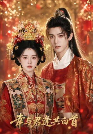 幸与君逢共白首（79集）精彩短剧热播中