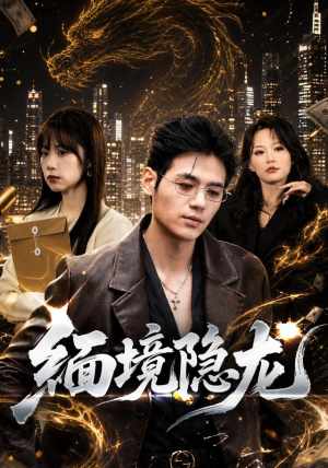缅境隐龙（65集）精彩短剧看不停