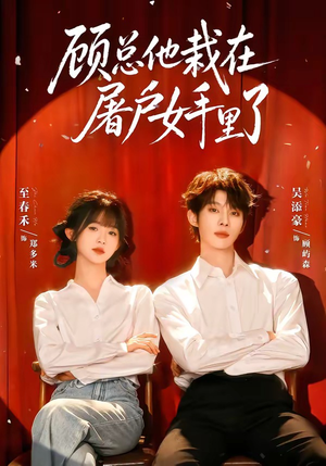 顾总他栽在屠户女手里了（62集）每日热门短剧推荐