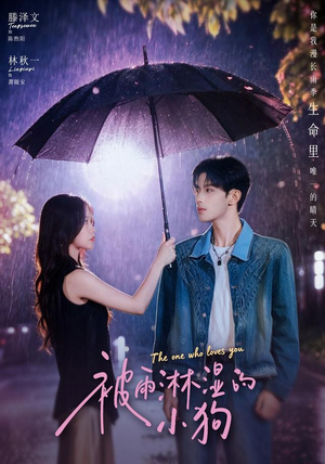 被雨淋湿的小狗（80集）番茄小说免费看短剧
