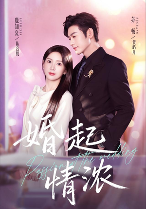 婚起情浓（99集）在线免费观看热门短剧