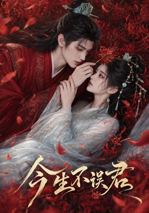今生不误君（106集）短剧终篇全集限免看